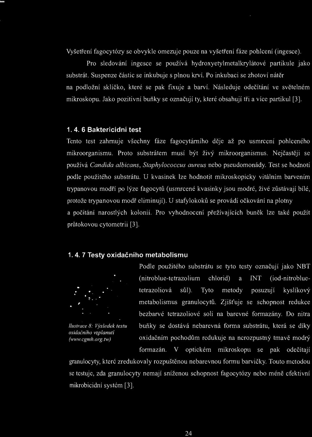 Jako pozitivní buňky se označují ty, které obsahují tři a více partikul [3]. 1. 4. 6 Baktericidní test Tento test zahrnuje všechny fáze fagocytárního děje až po usmrcení pohlceného mikroorganismu.