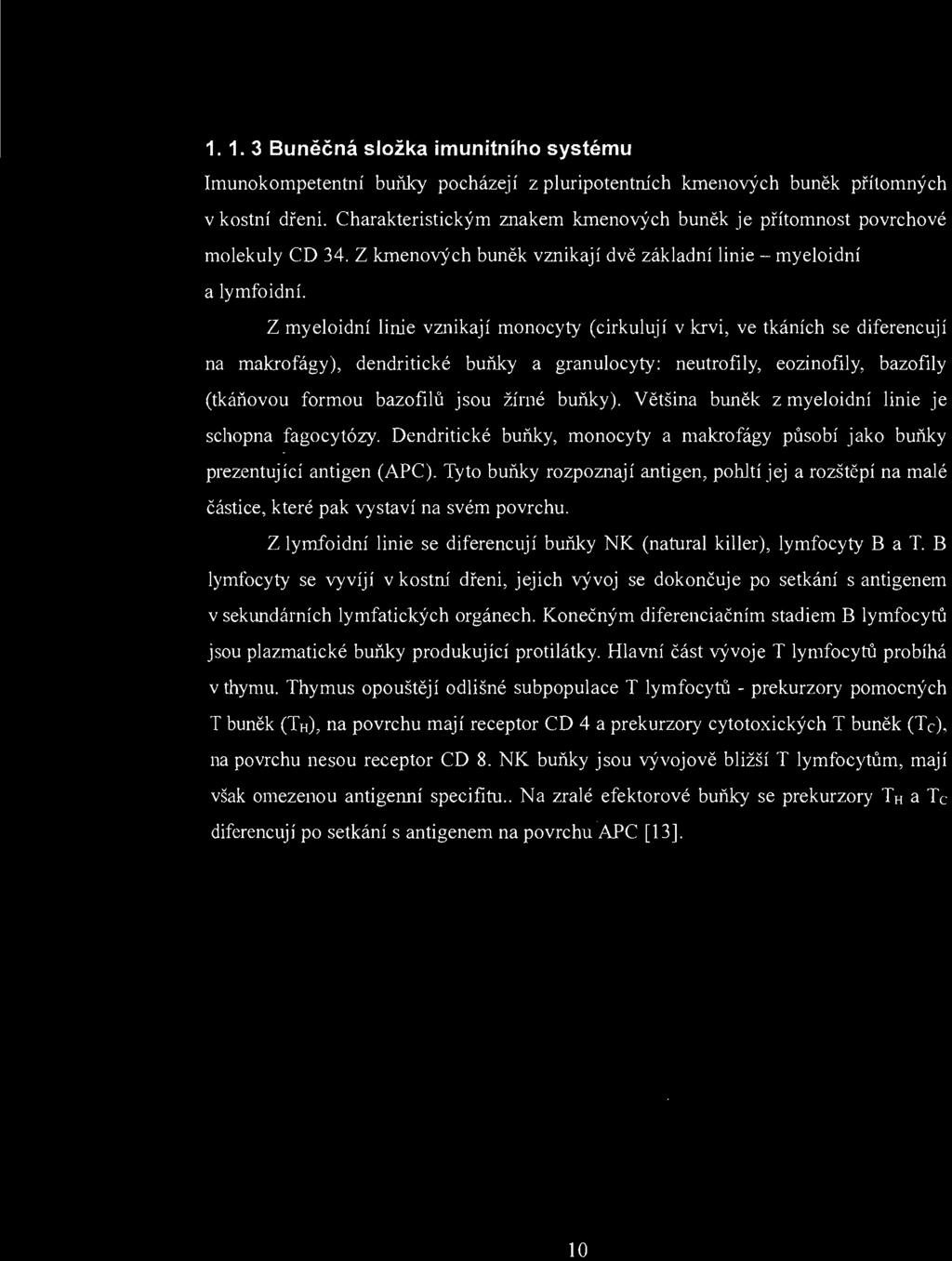 Konečným diferenciačním stadiem B lymfocytů jsou plazmatické buňky produkující protilátky. Hlavní část vývoje T lymfocytů probíhá v thymu.