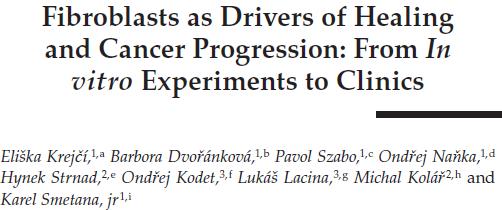 Fibroblasty jako součást mikroprostředí ovlivňují prenatální vývoj,