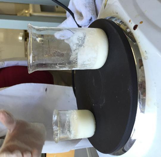 prikvapneme roztok kyseliny octovej následne kadičku položíme na varič a pozorujeme zmeny v mlieku po chvíľkovom zahriatí mlieko vylejeme
