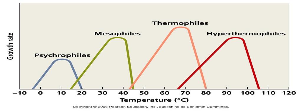 MIKROORGANISMY DLE TEPLOTY PSYCHROFILNÍ (15-20 C), MEZOFILNÍ (35-37 C), TERMOFILNÍ (50-60 C) DLE KYSLÍKU AEROBNÍ (VĚTŠINA), ANAEROBNÍ