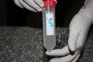 15 Živá monokultura Bacillus Subtilis Kontaminační procedura B.