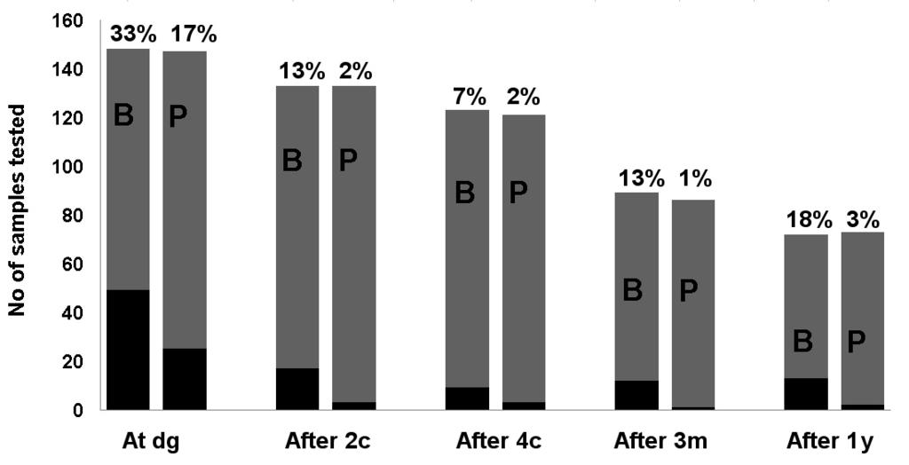 Figure 1: Serial analysis of whole blood and plasma EBV-DNA viral load in HL patients. EBV-DNA positivity (%) in whole blood (B) and plasma (P) in HL patients during the course of disease.