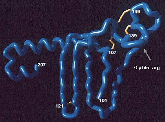 Elecsys HBsAg Imunoanalýza ke stanovení přítomnosti povrchového antigenu hepatitidy B (HBsAg) v lidském séru a plazmě využívající technologii electrochemiluminiscenční imunoamnalýzy na