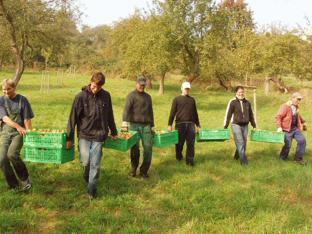 Die Zukunft von Streuobstwiesen im sächsisch-böhmischen Grenzraum Budoucnost smíšených ovocných luk v česko-saském pohraničí Zweiter Workshop am 20. Oktober 2010 in Dresden druhý workshop 20.