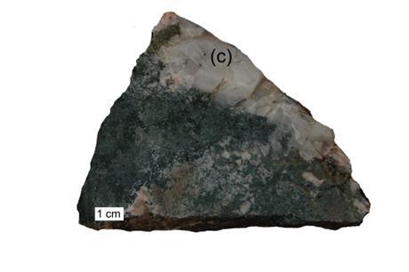 (ML1), (c) Průnik žilky granitového pegmatitu do jemnozrnného pyroxenového skarnu (ML2), (d) Drobnozrnný pyroxenový skarn s intersticiálním amfibolem a hrubozrnným až masivním, rekrystalizovaným