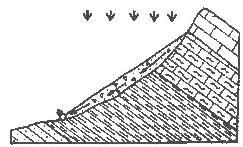 puklinové, resp.