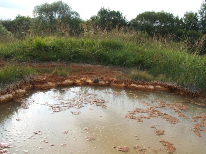 K výveru môže dochádzať aj do povrchového vodného