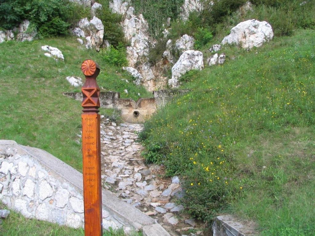 Vyvieračky