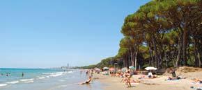TALIANSKO 093 CECINA MARE VILLAGGIO LA CECINELLA WELLNESS / 2+2 od 383 Eur Stredisko Cecinela sa nachádza v centre kolísky etruskej civilizácie a renesancie s bohatou ponukou kultúry, jedla vína a