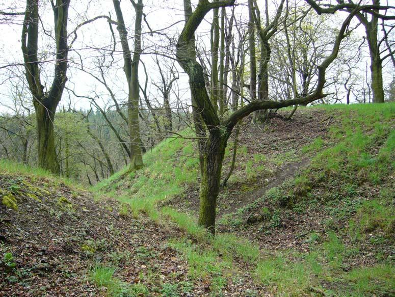 Obr. 12, Hrad Angerbach u