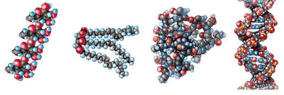 Makromolekuly - cukry - tuky