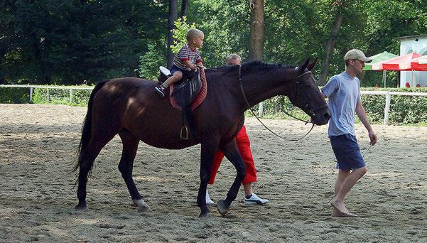 Tudi v okolici Murske Sobote je več dobrih gostiln in restavracij, nekatere izstopajo z vrhunsko kvaliteto kuhinje.