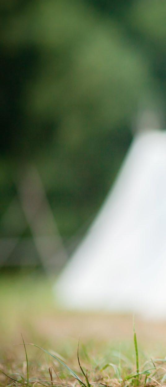 Během posledního půl století či více jsme byli svědky postupující eroze dětské svobody hrát si a ruku v ruce s tím postupujícího úbytku mentálního a fyzického zdraví mladých lidí.
