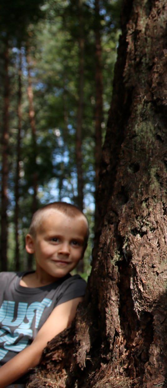 Porucha osobnosti z nedostatku přírody popisuje cenu, kterou člověk platí za své odcizení přírodě.