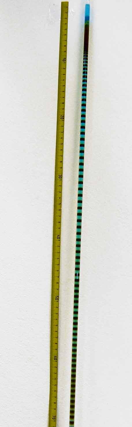 Pro naměřené hodnoty koncentrací v jednotlivých bodech difúze CrO 4 2- do gelu byl vypočten difúzní koeficient D = 9,14 10-6 cm 2 s -1 při koncentraci C 2 = 1,002 mol l -1.