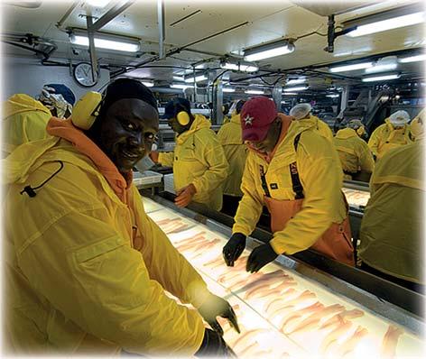 U seafoodu je běžná glazura 20 %. V případě vyšší ochranné glazury se tato vrstva už nedá označit za ochrannou, ale důvodem je zlevnění ceny za rybu na úkor její kvality.
