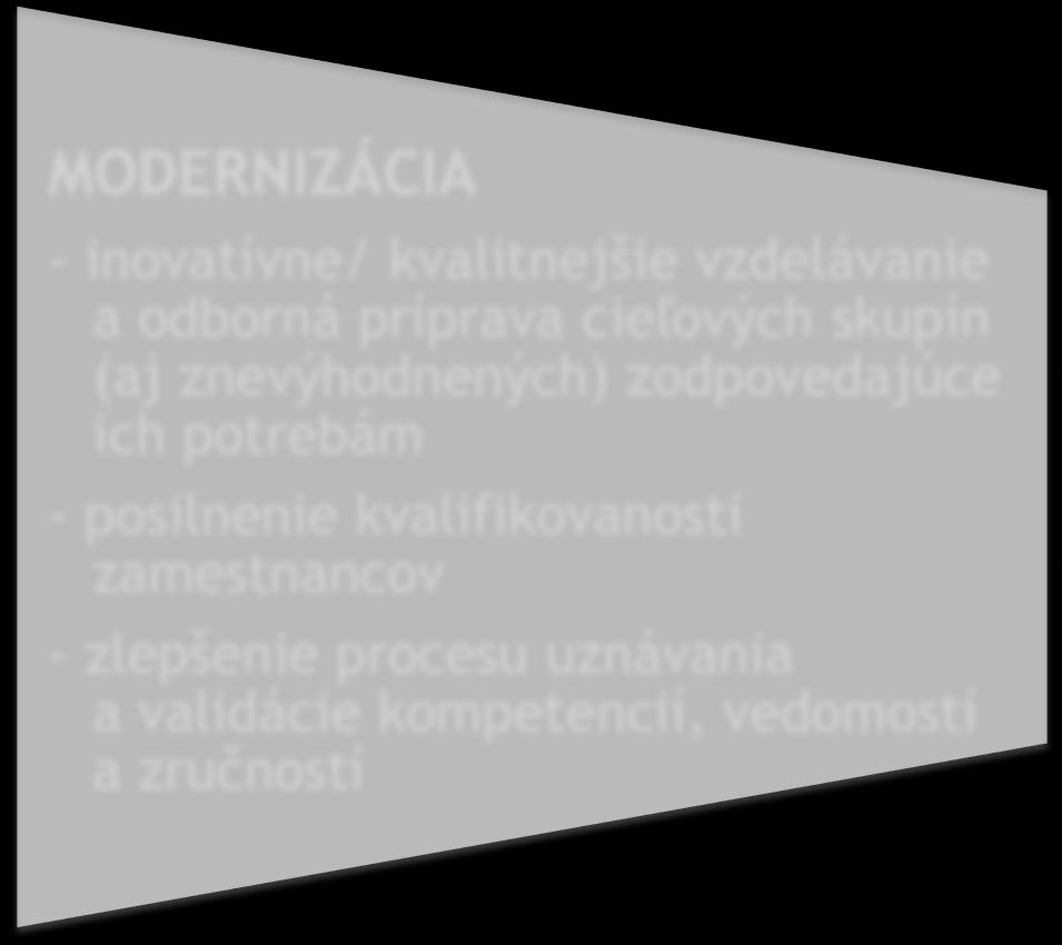 úrovni EÚ/ na medzinárodnej úrovni - zvýšenie kvality manažérskych zručností a stratégií