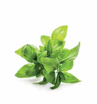 Garanzia di qualitá, origine italiano, gusto e sapore, prezzo favorevole = ALLIVORI Obsah Těstoviny 04 Těstoviny 07 Čerstvé těstoviny 10 Mouka 12 Bramborové noky 14 Další výrobky 15 Olivový olej 16