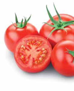 pomodori R A J Č A T A polpa fine 618066 Polpa fine di pomodoro Rajčata jemně drcená 1x 4,1 kg 618060 Polpa fine di pomodoro Rajčata jemně drcená bag in box 1x 10 kg 618058 Polpa di pomodoro Rajčata