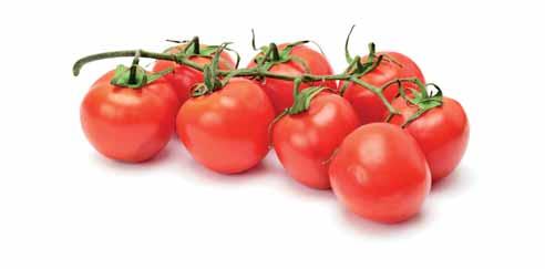 passata doppio concentrato 618042 Passata di pomodoro Rajčatové pyré Tetra pack 1x 1 kg 618081 Doppio concentrato di pomodoro Rajský protlak dvojitě koncentrovaný 28/30 1x 800 g.