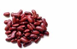 1x 2,5 kg... fazole borlotti patří k nejkrásnějším odrůdám fazolí? Kvůli krásné mramorové kresbě se její zrna používala i jako šperky.