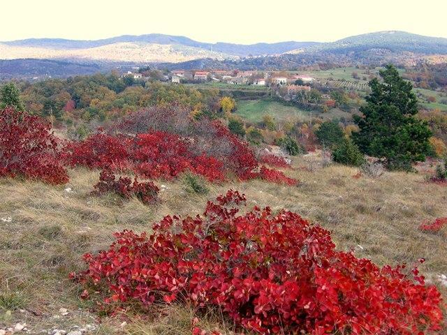 Kras v jeseni Črni Kal Z kopca do mora Ankaran * v Ankarane sa