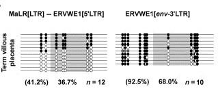 zabraňovat transkripci z buněčných genů 3 LTR sekvencí. Obr. 6: Znázornění rozdílů ve stupni methylace u ERVWE1 3 LTR a ERVWE1 5 LTR/MaLR LTR promotorových sekvencích v placentě.