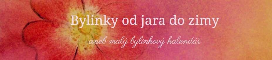 Bylinky nám mohou ukazovat