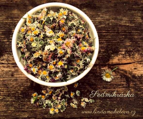 S EDMIKRÁSKA (Bellis perennis ) O s e d m i k r á s c e j e z n á m é, ž e o č i š ť u j e k r e v, p o d p o r u j e l á t k o v o u v ý m ě n u, č i n n o s t p l i c a l e d v i n.