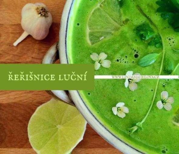 ŘEŘIŠNICE (Cardamine pratensis ) N a j a ř e mám ráda zelenou polévku. M ů ž e t o b ý t š p e n á t o v á nebo h r á š k o v á s b y l i n k a m i.