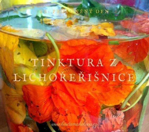LICHOŘEŘIŠNICE (Tropaeolum majus ) K d y b y s t e m ě l i m í t v z a h r a d ě n e b o v t r u h l í k u z a o k n e m j e n j e d n u k v e t o u c í r o s t l i n u, a ť j e t o p r á v ě l i c h