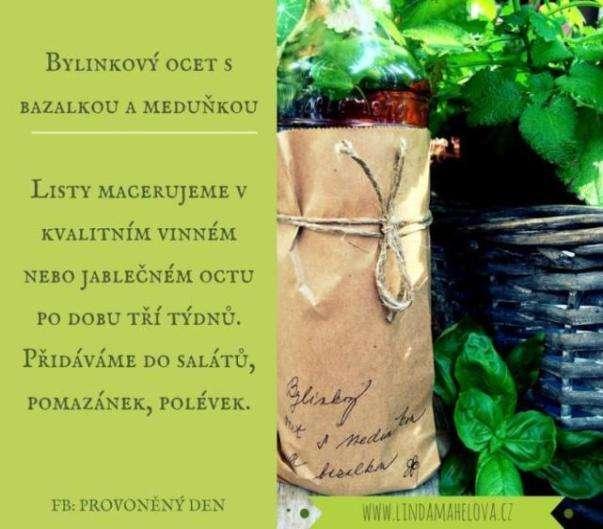 BYLINKOVÝ OCET S BAZALKOU A MEDUŇKOU D o m á c í bylinkové octy jsou v y n i k a j í na dochucení zeleninových j í d e l.