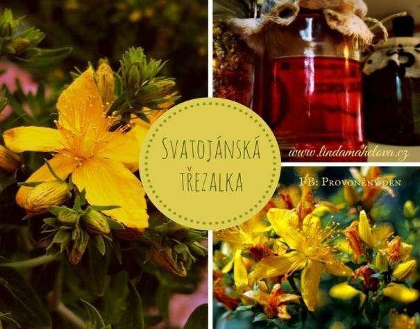 TŘEZALKA (Hypericum perforatum ) N a v ý r o b u o l e j e p o t ř e b u j e m e 3 h r s t i k v ě t ů ( n a p ů l l i t r u r o s t l i n n é h o o l e j e ), k t e r é n e c h á m e n e j p r v e z