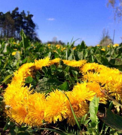 JARO Jaro symbolizuje energii zrození. Všimněte si, že po zimě, kdy p říroda odpočívala a nabrala síly, míří energie velmi dynamicky nahoru. Dovolte sami sobě t uto kvalitu p robudit ve vašem životě.
