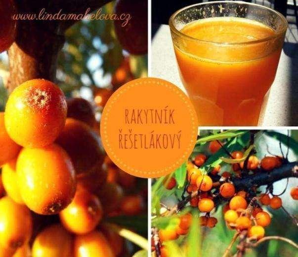 RAKYTNÍK (Hippophae rhamnoides ) V ě t š i n a z v á s r a k y t n í k p ě s t u j e na s v é z a h r a d ě. Z r a k y t n í k u s e v y r á b í d ž e m, l i k é r, d ž u s.