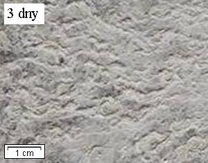Zrychlené korozní zkoušky byly provedeny v neutrál ní solné mlze v souladu s ČSN EN ISO 9227 (teplota 35 C, koncentrace solného roztoku 50 g/l, dávkování rozprášeného solného roztoku 0,5