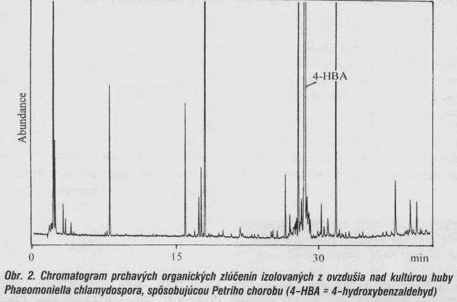 Huby spôsobujúce Petriho chorobu viniča produkujú niekoľko metabolitov, o ktorých je známe, že môžu spôsobovať príznaky na listoch.
