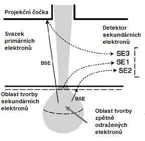 Složky sekundárních elektronů [3]: SE 1 jsou sekundární elektrony generované přímo v místě dopadu primárních elektronů.