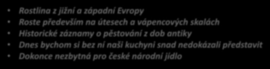 Modifikování genomů rostlin v průběhu staletí Brassica oleracea Rostlina z jižní a západní Evropy Roste především na útesech a vápencových skalách