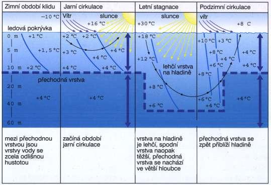 1.2. Hustota vody,,vodstva naší zeměpisné šířky vykazují výrazné teplotní výkyvy mezi vrchními a spodními vrstvami vody (Holzapfel, 2004). V průběhu roku dochází také k takzvané obměně vody.