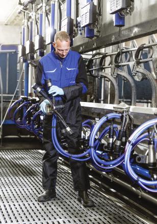 10 Robust Hygienic