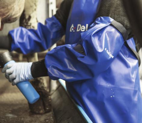 Materiál: Nitril Schválené pro styk s potravinami Nenapudrované nitrilové rukavice pro dojiče S 85961910 M 85961911 L 85961912 XL 85961913 XXL 85961914 Dlouhé nitrilové