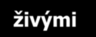 produkt Dlhodobý charakter práce