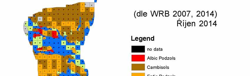 Albic