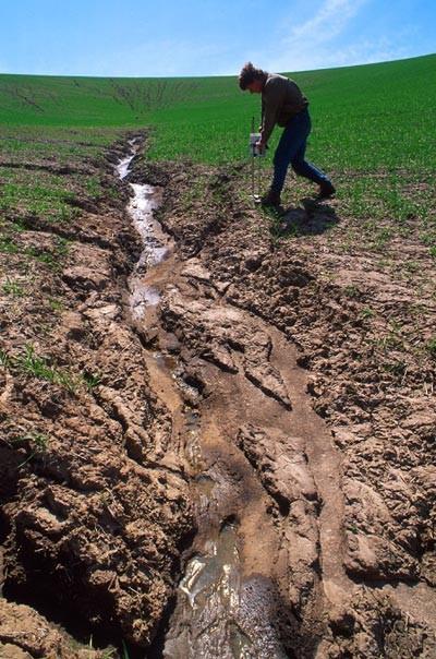 Procesy půdní degradace Zemědělská činnost: hnojiva a pesticidy zasolování nadměrným zavlažováním hutnění