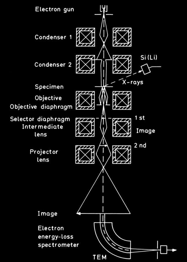 Základní konstrukce TEM kondenzorové čočky osvětlují vzorek objektiv vytváří primární obraz projektivní čočky dále zvětšují primární obraz luminiscenční stínítko