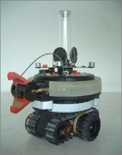 pswarm-bot: Kolektivní chování skupiny robotů Swarm-bot kolektivní fyzické