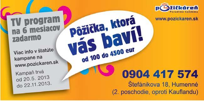 HOSPODÁRSTVO Mestské zastupiteľstvo v Snine na svojom zasadnutí minulý utorok