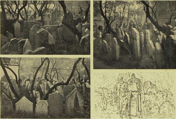 hřbitově.